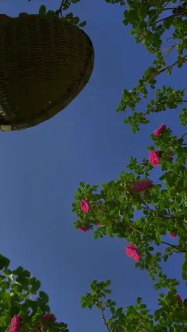 #qabiixa ka daa xubigaa#zinara🍁✨️ #fybシviral #foreyoupage 