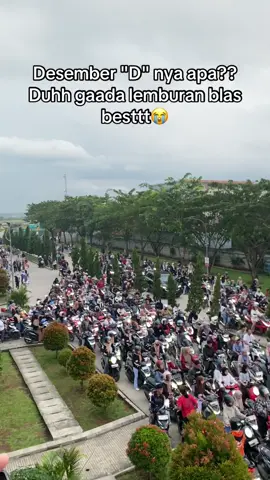 Pesona TSH tanpa lemburan😭#fyp #tsh #kulipabrik #brebes 