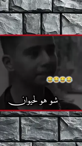 😂😂😂#تصميمات_حمودي_الجسري #الشعب_الصيني_مالو_حل😂😂 #لايك__explore___متابعة🧸🔥🤍 #محظور_من_الاكسبلور🥺 