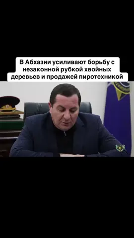 В Абхазии усиливают борьбу с незаконной рубкой хвойных деревьев и продажей пиротехникой #абхазия    #тбилиси     #абхазияэтогрузия   #грузия    #сухуми