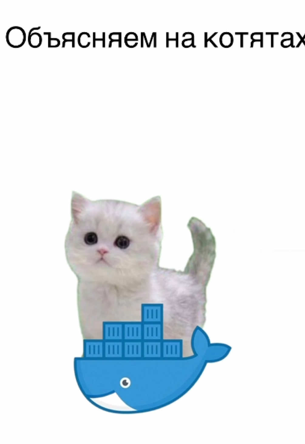 Давайте добьём 1к😊Docker объясняем на котятах 🐱 #рекомендации #programmer #docker  #программирование #девочкаit 