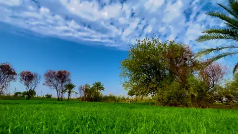 قصه وطوها الزمن 🙂‍↕️🙂‍↔️💔#اليوسفيه_ديار_العز🌱🌱 #تفاعلكم_حتى_أستمر 