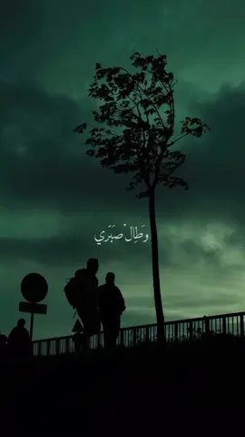 وَطِالْ صَبّري..🤎🌿. #اكسبلورexplore #كربلاءالمقدسه #وطال_صبري #حسين_الاكرف 