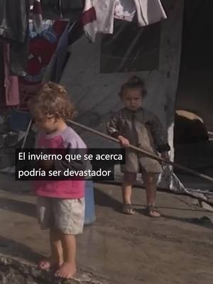 Dona para enviar alimentos