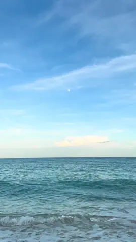 🐋🩵 so blue #beach #jupiter #sopeaceful #doesntgetbetter #bluesky 