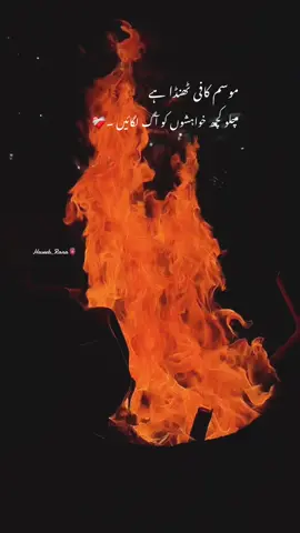 موسم کافی ٹھنڈا ہے ، چلو کچھ خواہشوں کو آگ لگائیں ۔❤️‍🩹 #tum_mein_aur_chai #haseebrana #sadpoetry #chailovers #unfreezemyaccount 