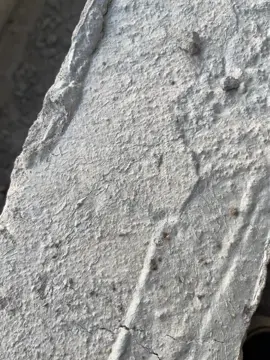 😔🙏#កូនអ្នកបាត់ដំបង #ក្មេងធ្វើការនៅថៃ🇰🇭🇹🇭 