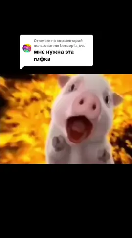 Ответ пользователю @benzopila_xyu 