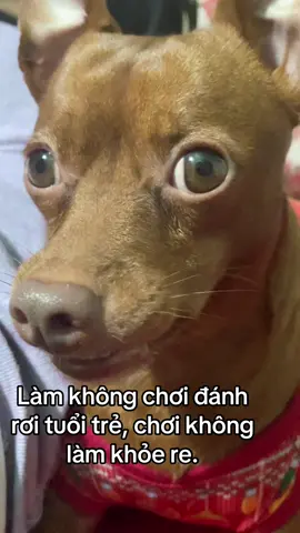 #xybca #fyp #xuhuong 