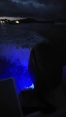 #jadeboat #speedboat #mauritius🇲🇺 #mylife #IleAuxCerfs 