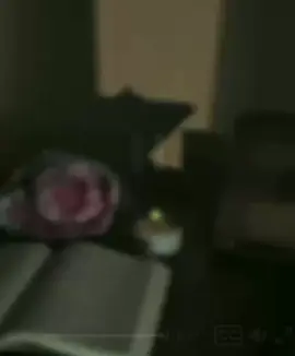 📌 За сквернословие грозит наказание как в этом мире, так и в Судный день. Пророк Мухаммад ﷺ говорил, что самые ненавистные перед Аллахом – те, кто непристоен в речи. Таким образом, ругаться матом в исламе нельзя ни всерьёз, ни в шутку, ни в гневе. #напоминание #ислам_религия #намаз_ду'а