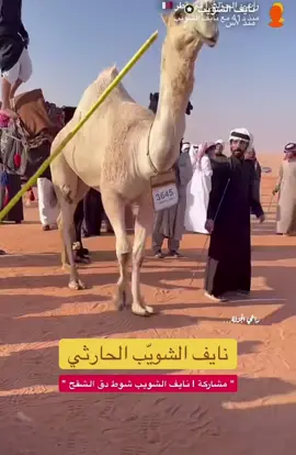 #الصياهد #المزاين #بنيوس #بني_الحارث #نجد 