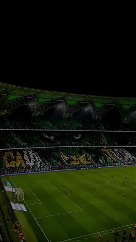 #الاهلي #جمهور_الاهلي #ملكي 