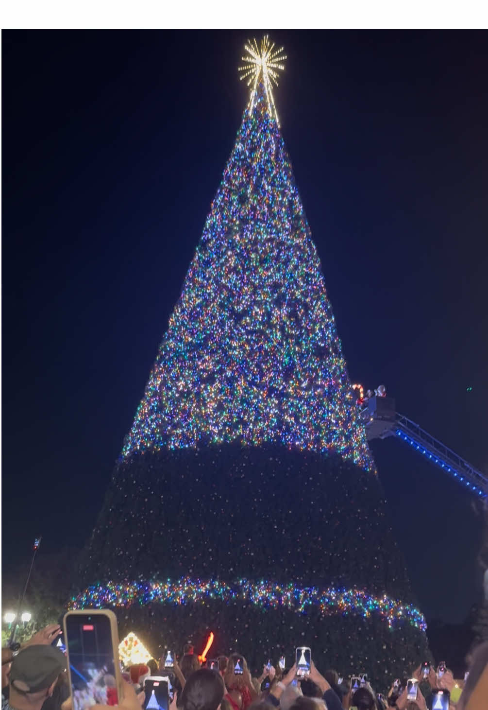 Drove an hour for this 🥹🫠🫣 #christmas #christmasfail #treelighting #christmastree #christiantiktok 