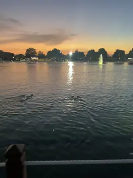 Sunset vibes at Aspire Park. 🌅🇶🇦 #viewqatar #qatarthroughyourlens #visitqatar @Visit Qatar 