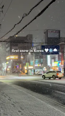 Did you make a wish ? ❄️❄️🌬️☃️  2025.12.03  #firstsnow #korea #2025 #첫눈 #크리스마스 