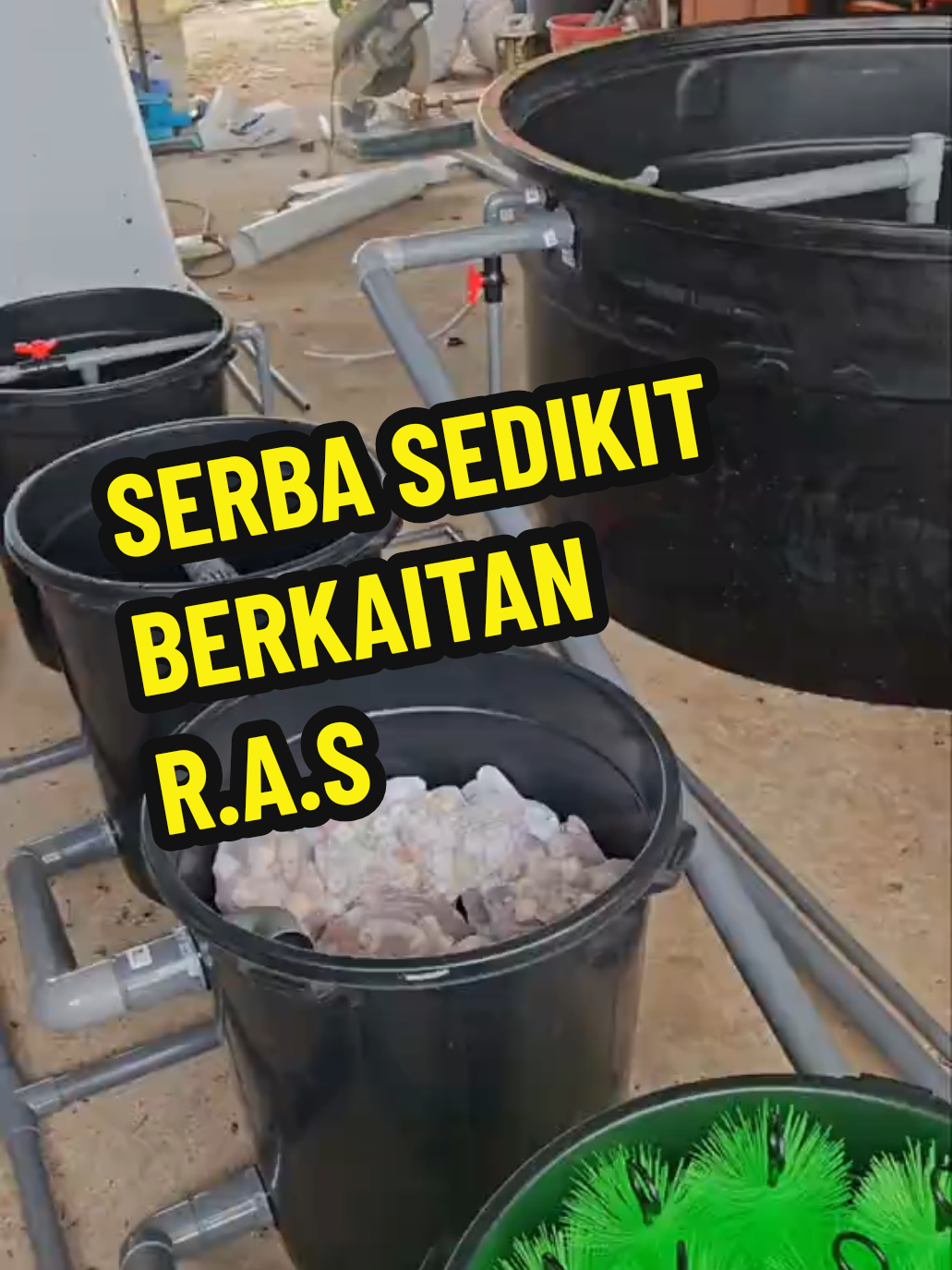 tahu tak macaman sistem ras befungsi???..nak tahu..tonton video sampai habis.. #followers  #mscdhidroponik  #mscdrassistem  #pembekalsethidroponikmelaka  #pembekalsistemrasmelaka 