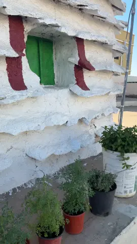 #سراة_عبيده #الديرة_تشاك #الصيفيه #دهل #زواجات_السعودية 