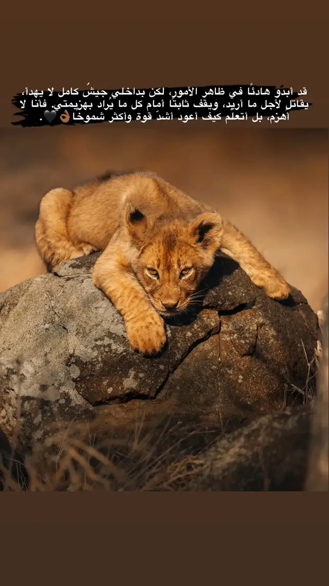 #🖤tiktok #fypage #اقتباسات #عباراتكم_الفخمه📿📌 #الناصره_الشامخه👑🦅 