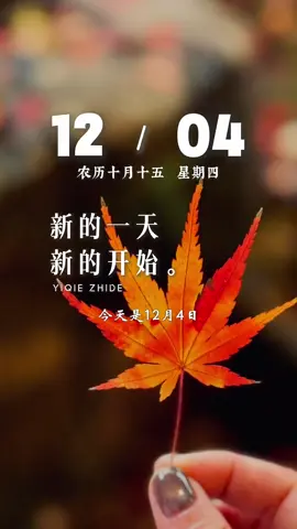 今天是12月4日，星期四，早安，新的一天，新的开始，前方柔光万丈，身后温暖一方。愿我们都能越来越好，一起看日出日落，一起过春秋冬夏，你与我分享琐碎日常，我陪你走过岁岁年年。新的一天，愿你顺利…