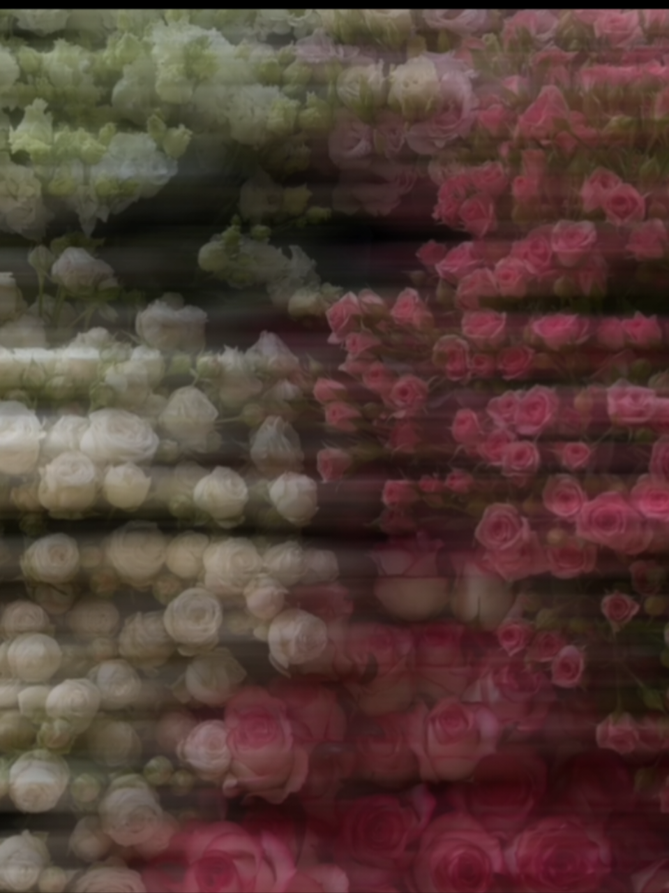 next month is January.!  