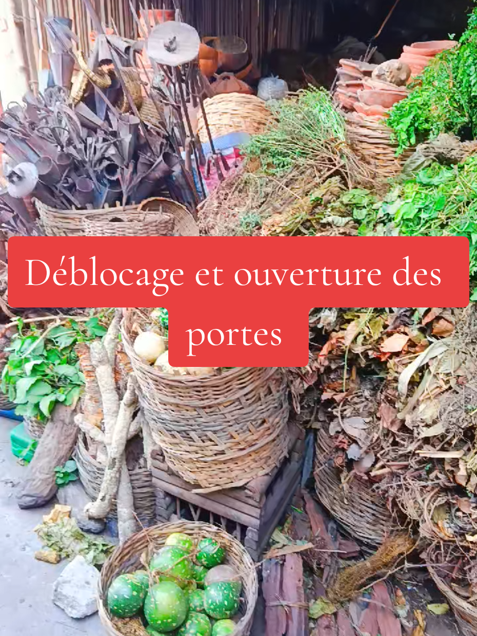 Déblocage et ouverture des portes fermées chappe #debloquemesvue🥲🙏🏽 #cotedivoire🇨🇮 #viraltiktok #canada #france 