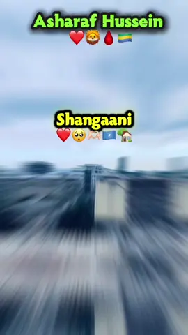 #CapCut  abtiyal❤️😭🇬🇦#viewsproblem😭 #neverlose_ishaani #ciyaalxamar🇭🇹🦁 #shangaani🇬🇦 
