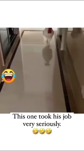 Did you know the alarm clock 