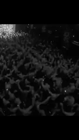 يا كريم الأولياء ❤️ #شور_حتى_الظهور #محمد_الحصناوي #الذاكر_محمد_الحصناوي #ياحسن #hk3646 