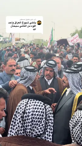 الرد على @مصطفى #عشائرالعراق #لاكرع_الديوانية #مشاهدات_تيك_توك #مشاهدات100k🔥 #اعاده_نشر🔁 