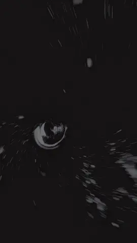 #شيعه_الامام_علي_عليه_السلام #تصميم_فيديوهات🎶🎤🎬 #كلمات_زهرااء💜✨🦦 #كلمات_زهراء💜✨ 