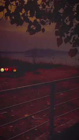 اسی دل کھول کے دیکھا نئیں سگدے 💔😭#foryoupage #growmyaccount #newaccountneedyoursuport #standwithkashmir #malikwrites_87 