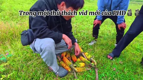 Phong đã ăn nhầm quả độc còn gì🗿#phd #phuonghuuduong #binhtubi #phuonghuucon #xuhuong 