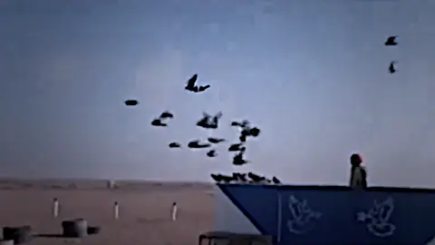 هاي الونسه الزينه وعلي✌️😁❤️…#حمام_لوت #مشاهدات #مشاهدات_تيك_توك #مشاهدات100k🔥 #محضوره_من_الاكسبلور_والمشاهدات 