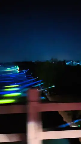 LỄ HỘI ANH SÁNG  #chanhfising #lemonfishing #fishing #fyp #xuhuong 