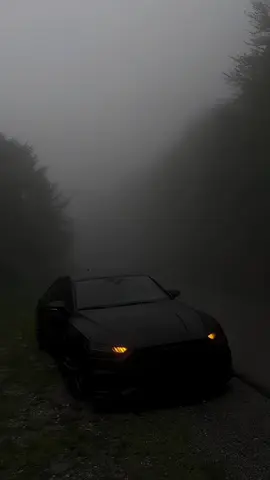 Audi RS Live Wallpapar 🤯🥶 #foryoupagе #foryouuuuuu #4kqualityhd #carwallpaper #growmyaccount✅♥️♥️♥️ 