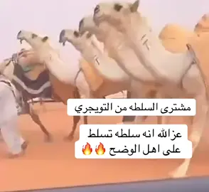 #السلطه #الصياهد #المزاين #عتيبه #عتيبه_روق_برقا_الهيلا 