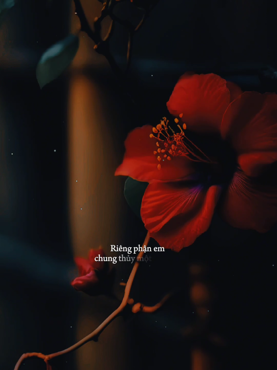 Mấy năm trời yêu thương nay nhìn lại thấy em phi thường... [ Hai Người Hai Hướng ] #hainguoihaihuong  #nhacbuontamtrang  #tramcamxuc💔  #maucapcut  #gocphoamnhac1991 