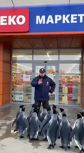 🤪🤪🤪 #екомаркет #супермаркет 
