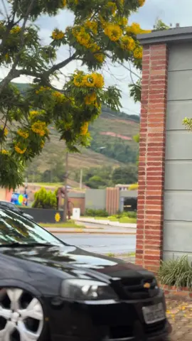 🔥😍😍 #astra #brw #rebaixados 