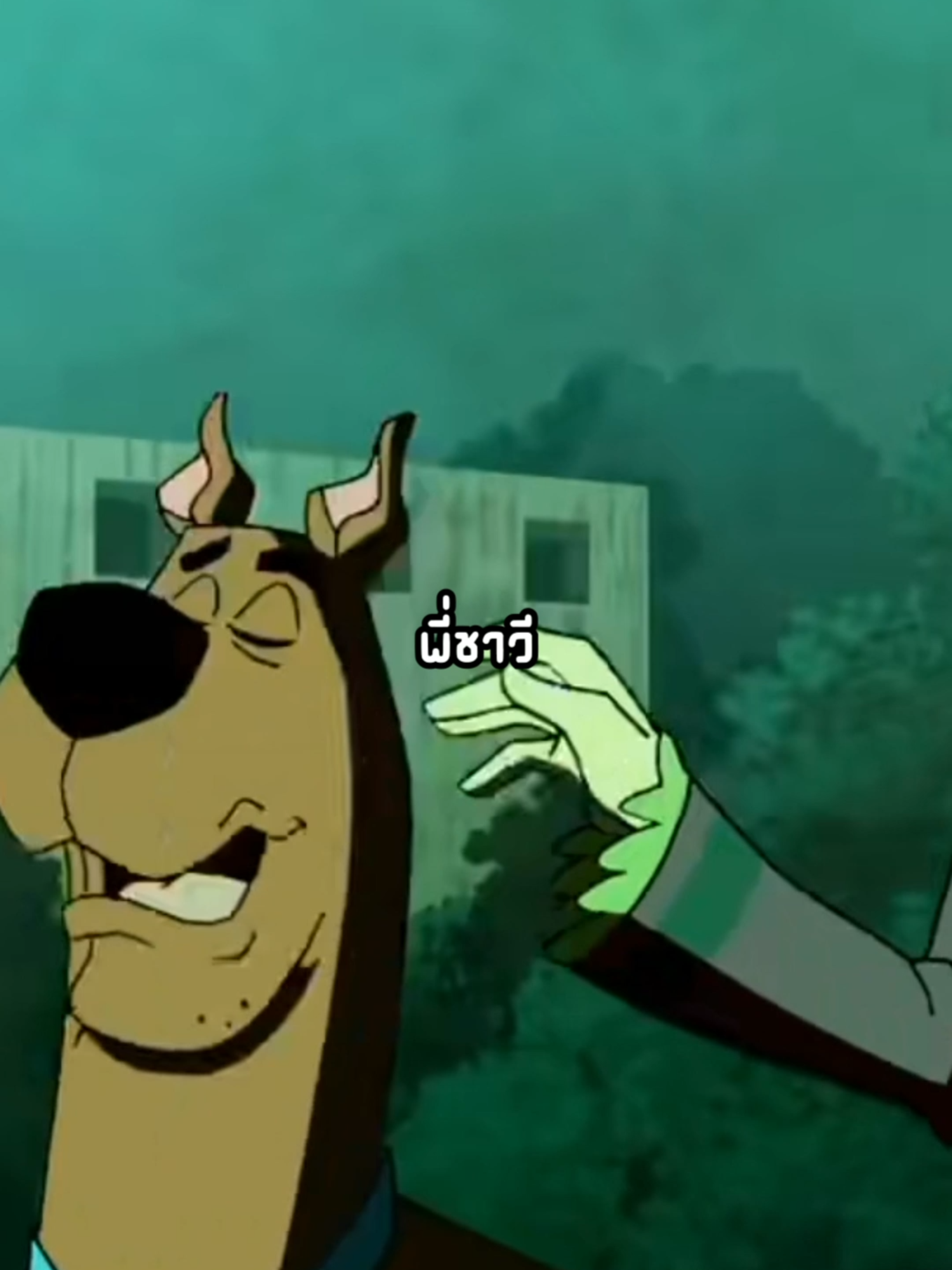 พี่แช็คกี้ พี่จะใส่สูทมาทำไมมม #fyp #หมาวาโร #coversong #พี่ชาวีใส่สูทมาทําไม