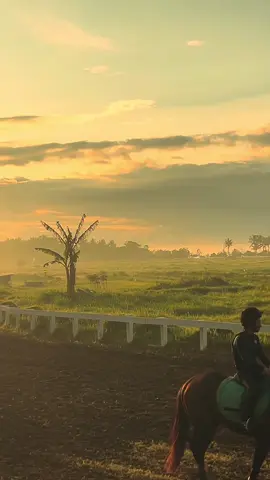 Ada yang tau nama kudanya?#promomakanharian #kuda #pecintakudapacuindonesia #pacukuda #sarga 