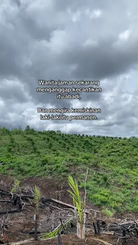 Ytta#petaniindonesia🇮🇩🇮🇩🇮🇩🌿🌿 