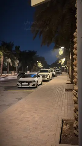 #ليالي_الشتاء 