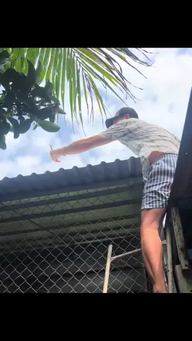 Tính vượt ngục hả 3 đứa. Kiếm muốn chết nó nằm trên này tưởng toan rồi 😮‍💨 #64_vinhlong #chonhuong #xuhuong 