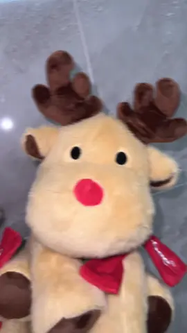 Fan cứng Jollibee 😺😺 #tuanlocjollibee#jollibee#xh#fyp 