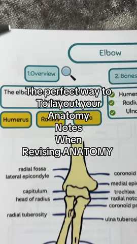 #anatomy #anatomyandphysiology #anatomynotes 