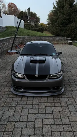 Mogging every bmw known to man #mustanggt #newedgemustang #mustang #2v #carphotography 