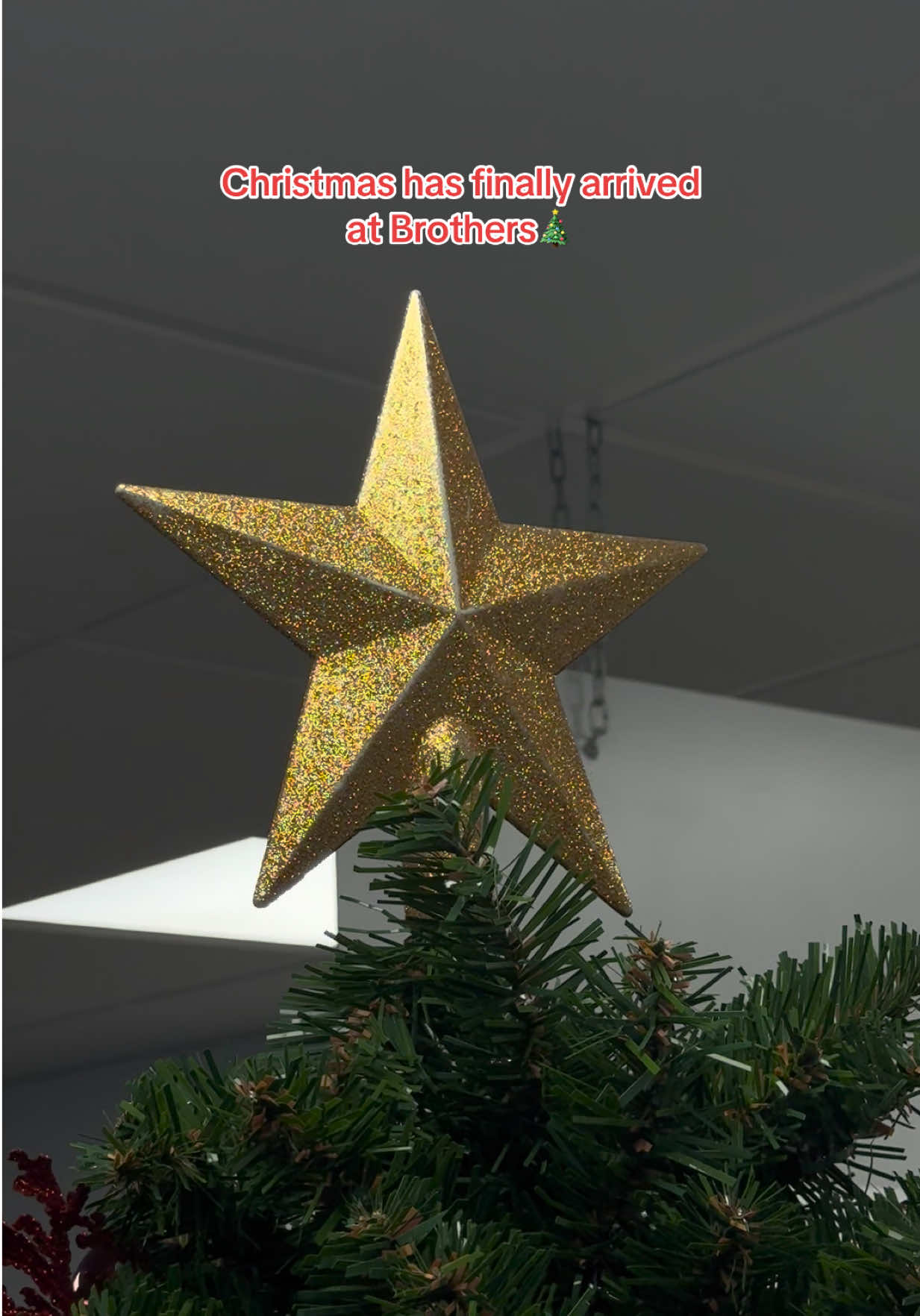 Rate our Christmas tree out of 10 (honest answers only)🎄#brothersofficefurniture #christmastree 