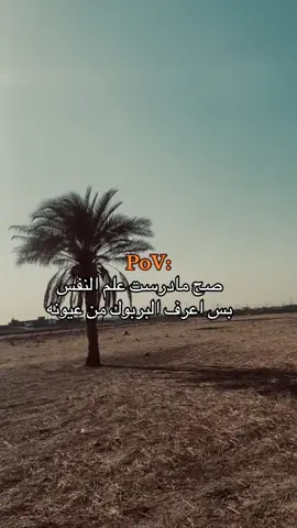 #عباراتكم_الفخمه📿📌 #تصويري📸 #fyp 